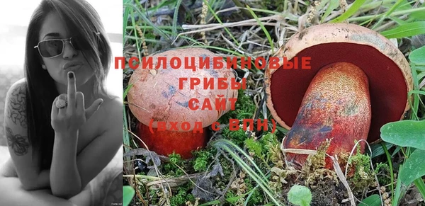 таблы Армянск