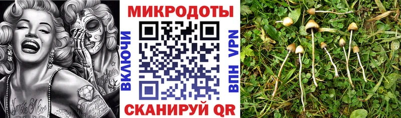 Псилоцибиновые грибы ЛСД  Озёрск 